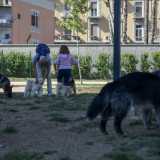 Anche Bari, seppur in ritardo, si � dotata di aree dove � possibile far scorazzare e giocare in sicurezza i propri cani